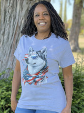 Shorty - American Husky