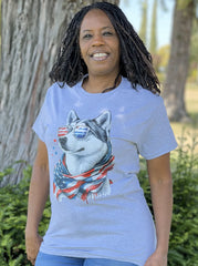 Shorty - American Husky